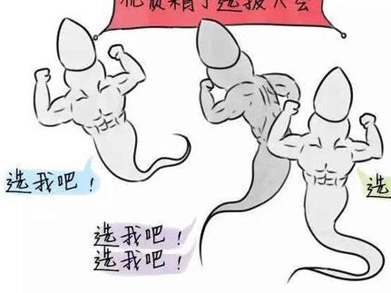 洪湖市做试管婴儿怎么样？推荐这几家试管医院