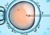 做三代试管婴儿有风险吗？